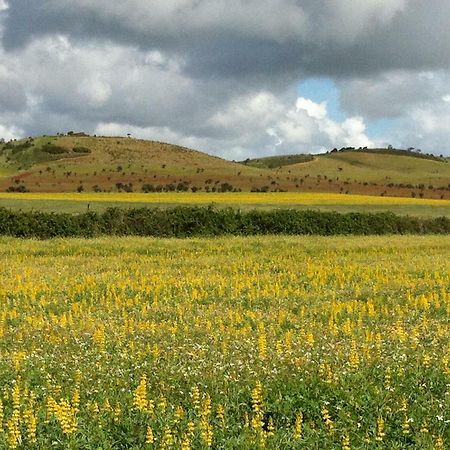 Village Loft Cercal do Alentejo Ngoại thất bức ảnh