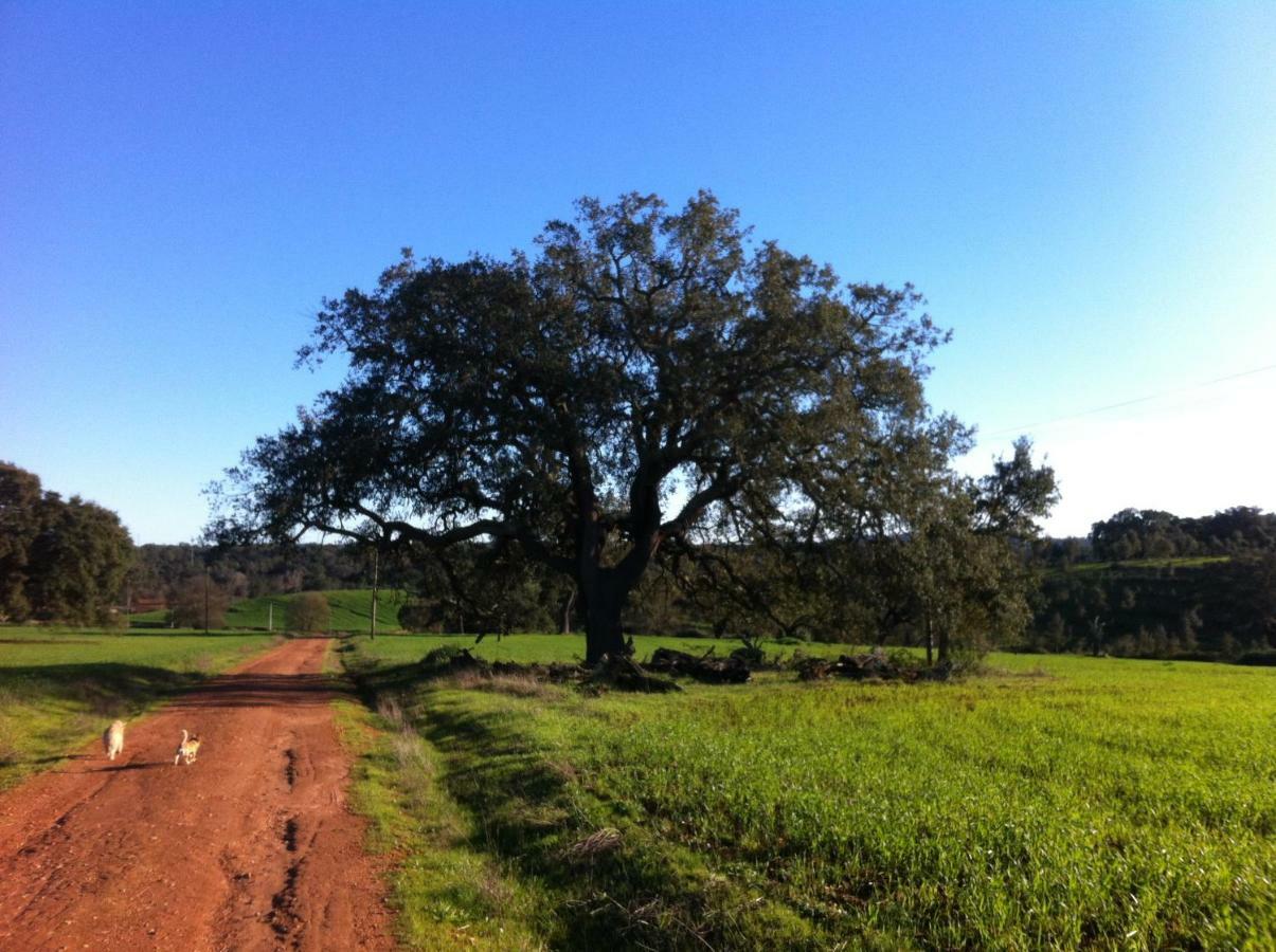 Village Loft Cercal do Alentejo Ngoại thất bức ảnh